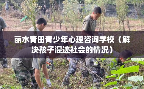 丽水青田青少年心理咨询学校（解决孩子混迹社会的情况）