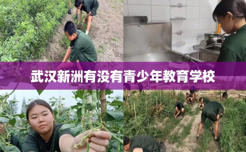 武汉新洲有没有青少年教育学校
