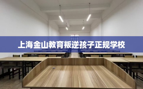 上海金山教育叛逆孩子正规学校