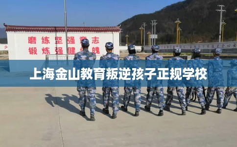 上海金山教育叛逆孩子正规学校
