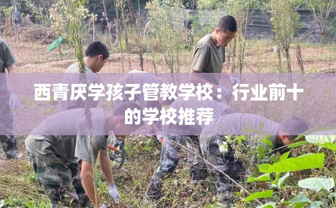 西青厌学孩子管教学校：行业前十的学校推荐