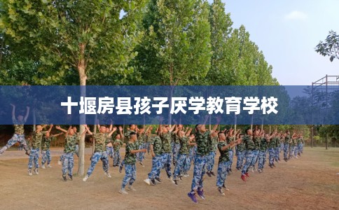 十堰房县孩子厌学教育学校