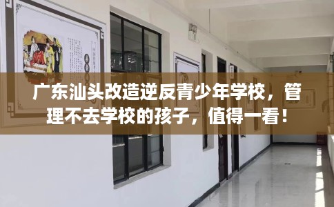广东汕头改造逆反青少年学校，管理不去学校的孩子，值得一看！