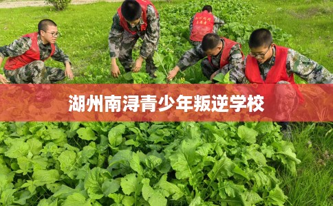 湖州南浔青少年叛逆学校