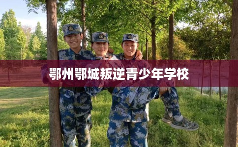 鄂州鄂城叛逆青少年学校