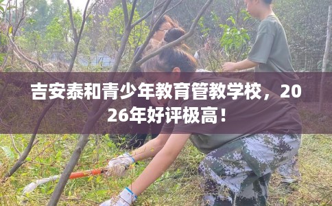 吉安泰和青少年教育管教学校，2026年好评极高！