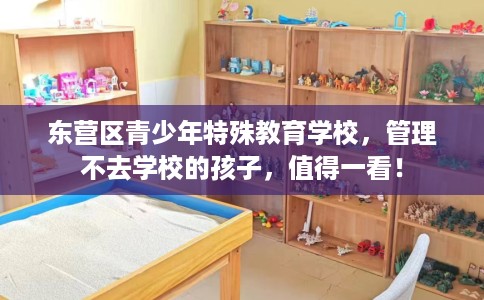 东营区青少年特殊教育学校，管理不去学校的孩子，值得一看！