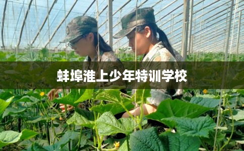 蚌埠淮上少年特训学校