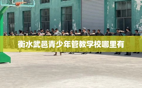 衡水武邑青少年管教学校哪里有