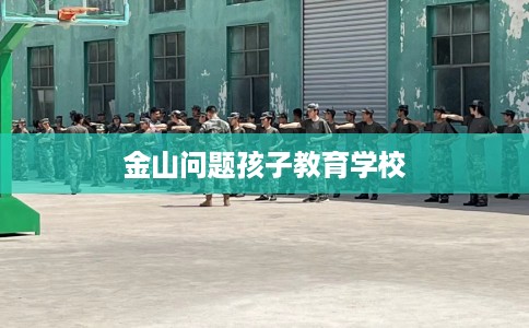 金山问题孩子教育学校