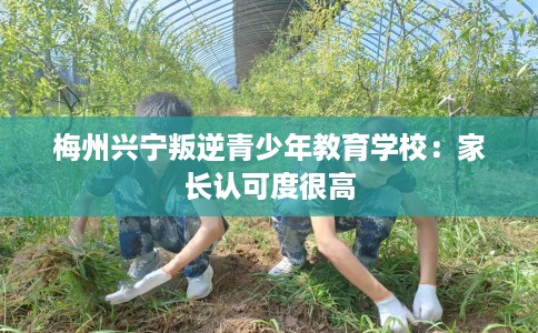 梅州兴宁叛逆青少年教育学校：家长认可度很高