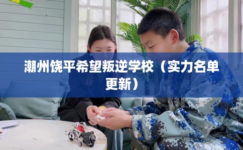 潮州饶平希望叛逆学校（实力名单更新）