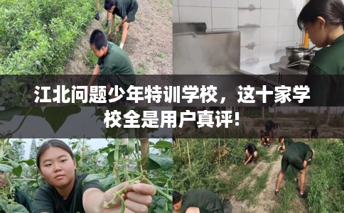 江北问题少年特训学校，这十家学校全是用户真评!