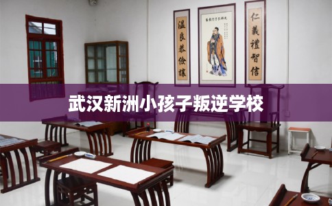 武汉新洲小孩子叛逆学校