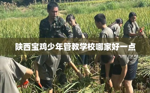 陕西宝鸡少年管教学校哪家好一点