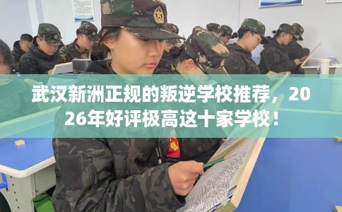 武汉新洲正规的叛逆学校推荐，2026年好评极高这十家学校！