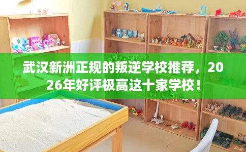 武汉新洲正规的叛逆学校推荐，2026年好评极高这十家学校！