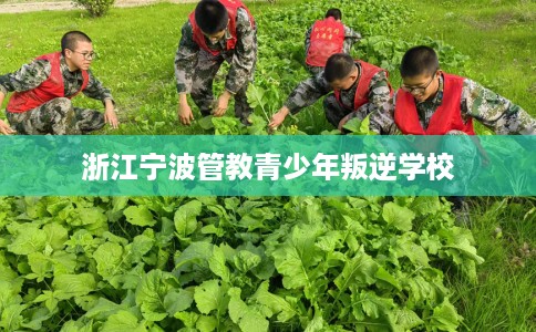 浙江宁波管教青少年叛逆学校