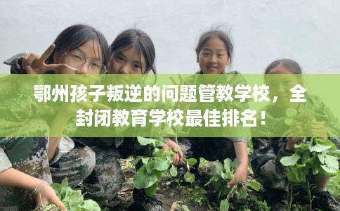 鄂州孩子叛逆的问题管教学校，全封闭教育学校最佳排名！