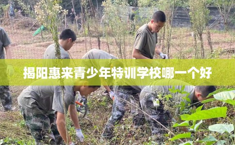 揭阳惠来青少年特训学校哪一个好