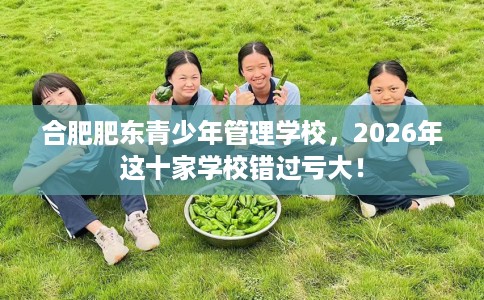 合肥肥东青少年管理学校，2026年这十家学校错过亏大！