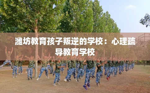 潍坊教育孩子叛逆的学校：心理疏导教育学校