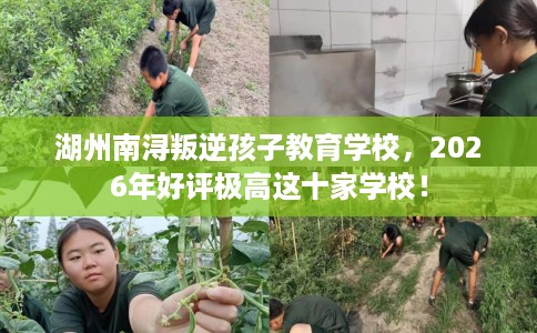 湖州南浔叛逆孩子教育学校，2026年好评极高这十家学校！