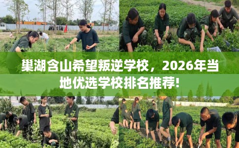 巢湖含山希望叛逆学校，2026年当地优选学校排名推荐!