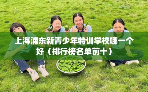 上海浦东新青少年特训学校哪一个好（排行榜名单前十）