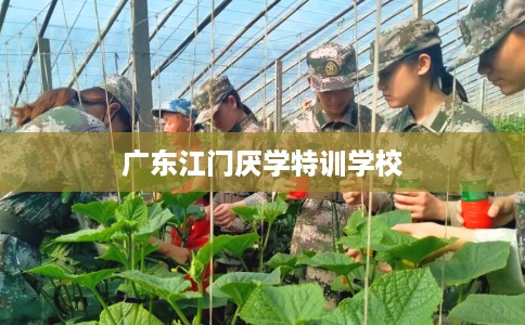 广东江门厌学特训学校