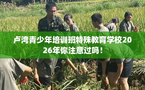 卢湾青少年培训班特殊教育学校2026年你注意过吗！