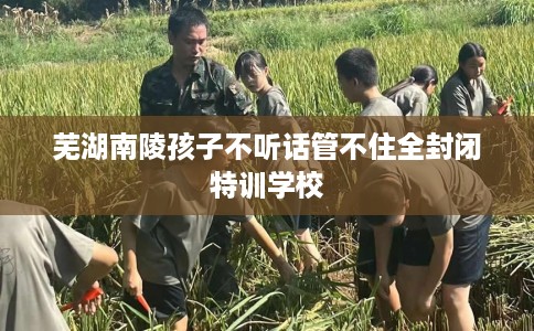 芜湖南陵孩子不听话管不住全封闭特训学校