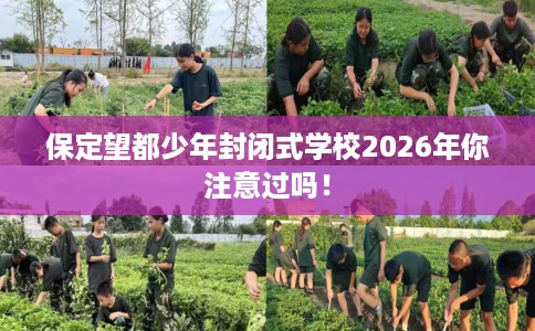 保定望都少年封闭式学校2026年你注意过吗！
