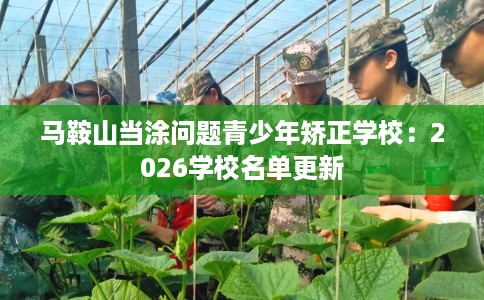 马鞍山当涂问题青少年矫正学校：2026学校名单更新