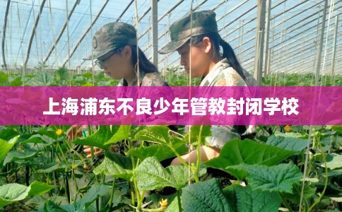 上海浦东不良少年管教封闭学校