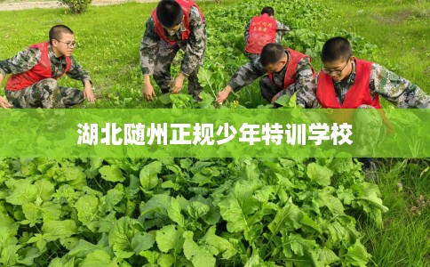 湖北随州正规少年特训学校