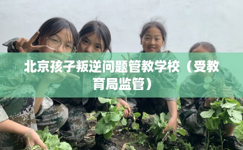 北京孩子叛逆问题管教学校（受教育局监管）
