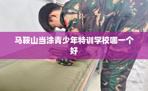 马鞍山当涂青少年特训学校哪一个好