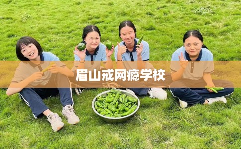眉山戒网瘾学校