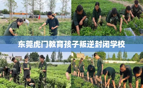 东莞虎门教育孩子叛逆封闭学校