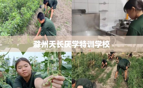 滁州天长厌学特训学校