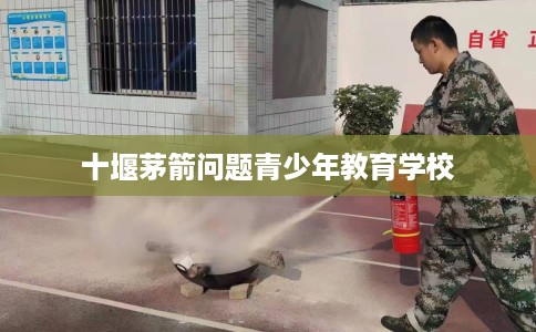 十堰茅箭问题青少年教育学校