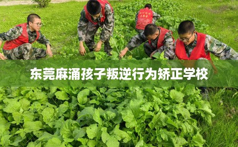 东莞麻涌孩子叛逆行为矫正学校