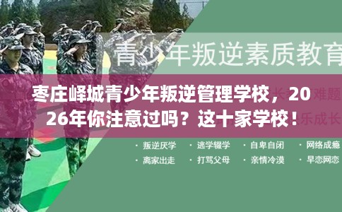 枣庄峄城青少年叛逆管理学校，2026年你注意过吗？这十家学校！