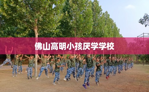 佛山高明小孩厌学学校
