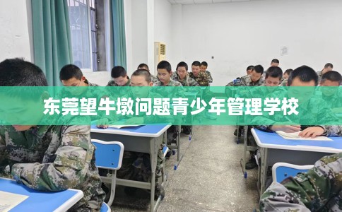 东莞望牛墩问题青少年管理学校