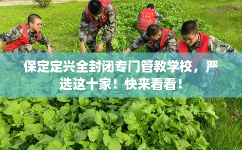 保定定兴全封闭专门管教学校，严选这十家！快来看看！