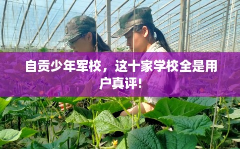 自贡少年军校，这十家学校全是用户真评!