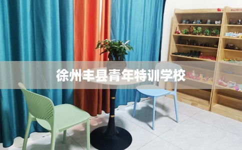 徐州丰县青年特训学校