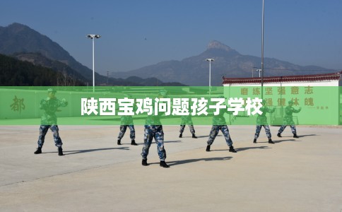 陕西宝鸡问题孩子学校
